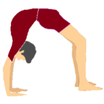 Daily Yoga Classes