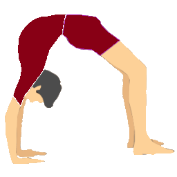 Daily Yoga Classes